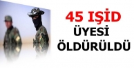 45 IŞİD üyesi öldürüldü