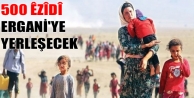 500 Êzîdî Ergani'ye yerleşecek
