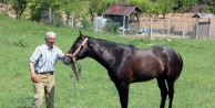 5 bin lira maaşlı at çobanı işi bıraktı