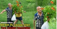 60 bin TL cezası olan Ters Laleleri kopardılar
