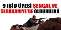 9 IŞİD üyesi Şengal ve Serakaniye'de öldürüldü