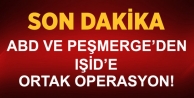  ABD ve Peşmergeden IŞİD'e Ortak Operasyon