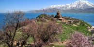 Akdamar Adası Çiçek Açtı