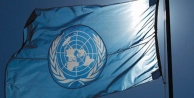 Almanya BM'yi göreve çağırdı