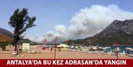 Antalya’da bu kez Adrasan’da yangın