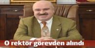 Artuklu Üniversitesi Rektörü Omay, görevden alındı