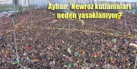Ayhan: 'Newroz kutlamaları neden yasaklanıyor?'