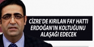 Baluken: Cizre'de kırılan fay hattı, Erdoğan'ın koltuğunu alaşağı edecek