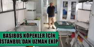 Başıboş köpekler için İstanbul'dan uzman ekip