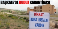 Başkale'de kuduz karantinası