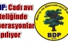 BDP: Cadı avı niteliğinde operasyonlar yapılıyor