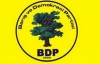 BDP eş genel başkanlarının programı açıklandı