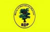 BDP Şemdinli'de kongreye hazırlanıyor