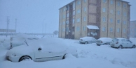 Bitlis'te kar köy yollarını kapattı