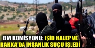 BM Komisyonu: IŞİD Halep ve Rakka'da insanlık suçu...