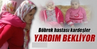 Böbrek Hastası Kardeşlerin Dramı