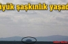 Büyük şaşkınlık yaşadı!