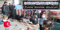 Çadırkent değil, Kobani’yi istiyorlar