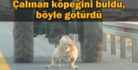Çalınan köpeğini buldu, böyle götürdü