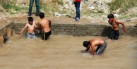  Çamurlu Havuzda Serinliyorlar
