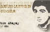Çetin Abayay Cinayeti