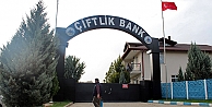 Çiftlik Bank'ın yazılımcısı tutuklandı 