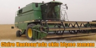 Cizîre Kantonu’nda ekin biçme zamanı