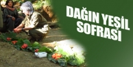 Dağın yeşil sofrası