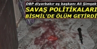 DBP Diyarbakır Eş Başkanı Ali Şimşek: Savaş...