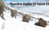 Derecik'te Dağdan Ot Taşıma Çilesi