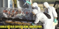 Ebola’da ölü sayısı 5 bine yaklaşıyor