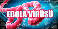 Ebola’ya yakalananların sayısı 16 bine yaklaştı
