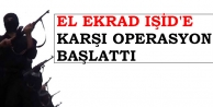 El Ekrad IŞİD'e karşı operasyon başlattı