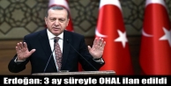 Erdoğan: 3 ay süreyle OHAL ilan edildi