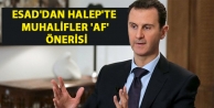 Esad'dan Halep'te muhalifler 'af' önerisi