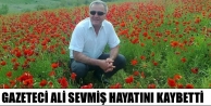 Gazeteci Ali Sevmiş Hayatını Kaybetti
