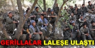 Gerillalar  Laleş'e ulaştı