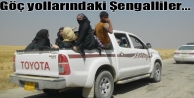 Göç yollarındaki Şengalliler...