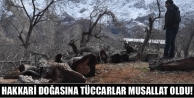 Hakkari doğasına tüccarlar musallat oldu!