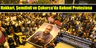 Hakkari, Şemdinli ve Çukurca'da Kobani Protestosu
