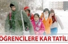 Hakkari ve ilçelerinde okullara kar tatili