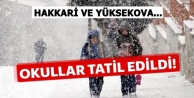 Hakkari ve Yüksekova'da Okullar Tatil