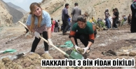 Hakkari’de 3 Bin Fidan Dikildi