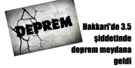 Hakkari'de Deprem