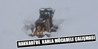 Hakkari’de Karla Mücadele Çalışması