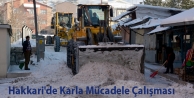 Hakkari'de Karla Mücadele Çalışması