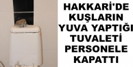 Hakkari'de Kuşların Yuva Yaptığı Tuvaleti Personele...