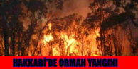 Hakkari'de Orman Yangını