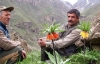 Hakkari'de ters Lalenin Yok Edilmesine Tepki