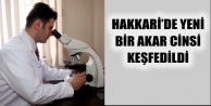 Hakkari'de yeni bir eklembacaklı keşfedildi